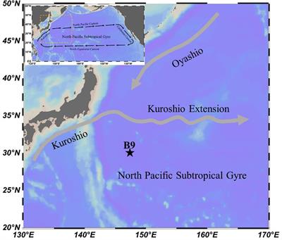 Diel Vertical Distribution of Mesozooplankton Functional Groups in the North Pacific Subtropical Gyre: A Case Study